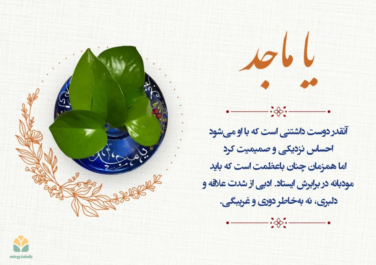 blog card 46