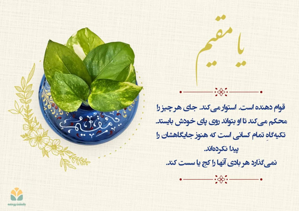blog card 50