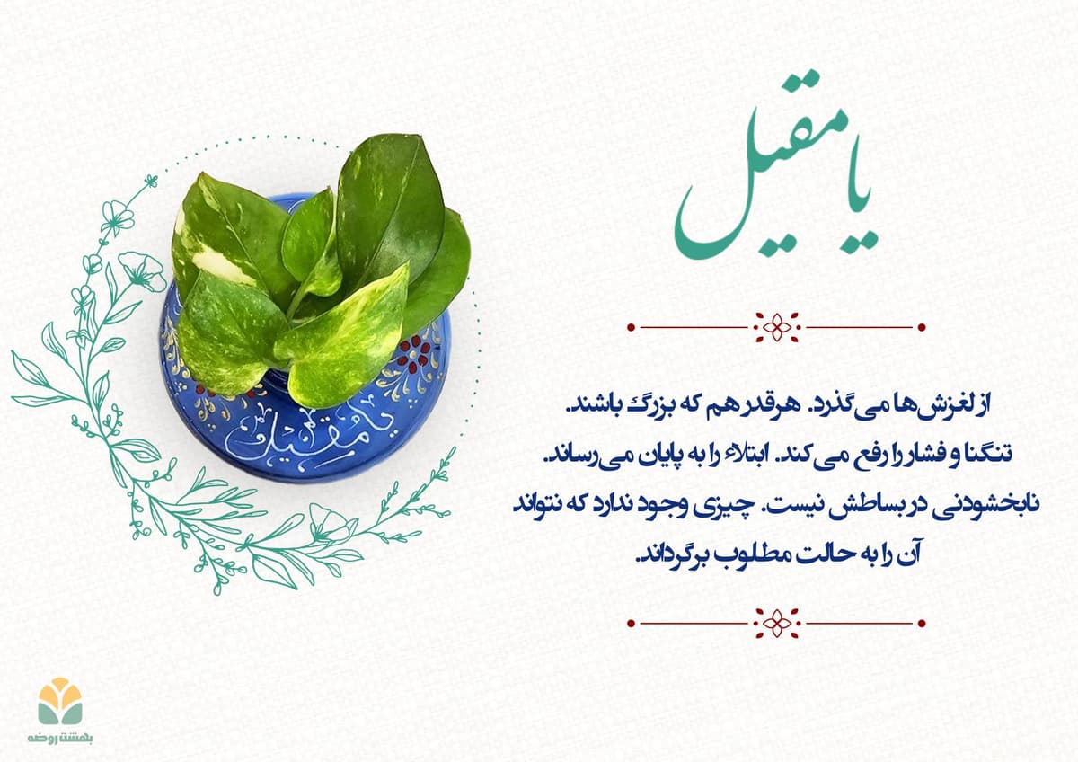 blog card 30