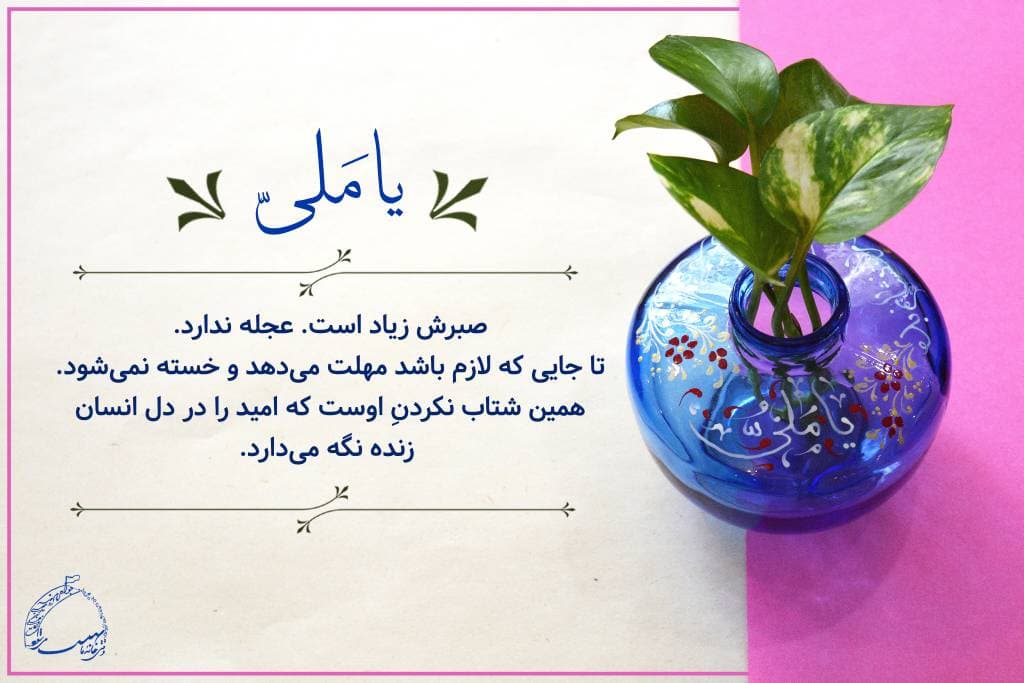 blog card 28