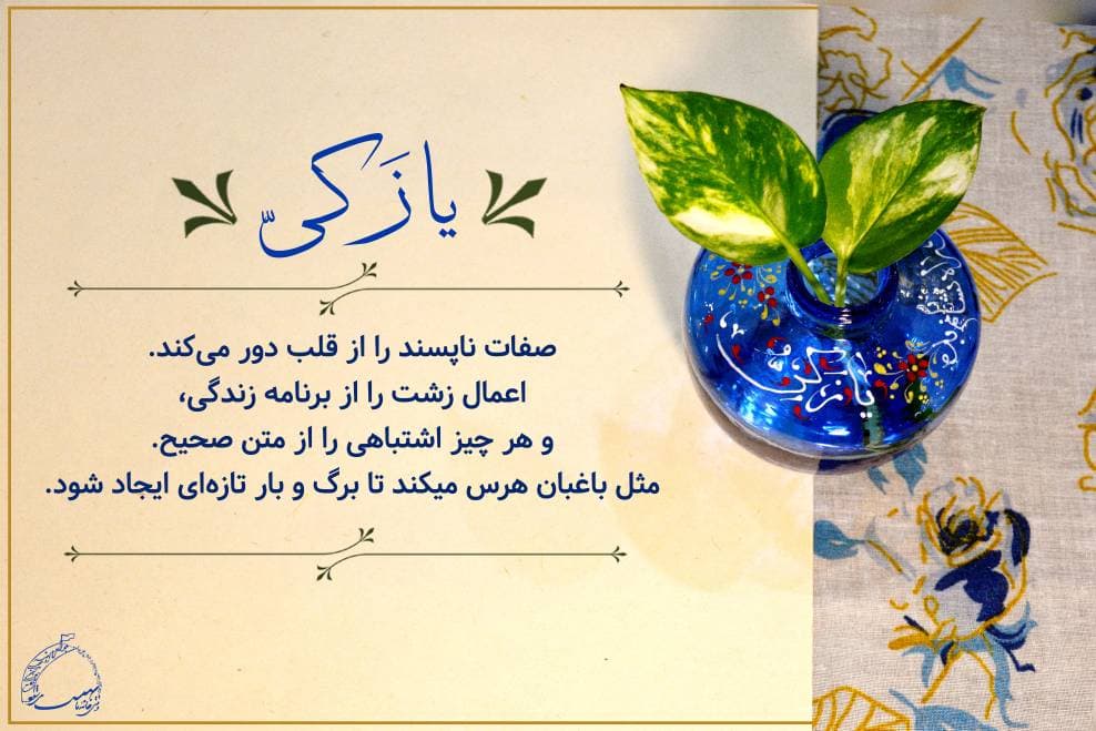 blog card 24