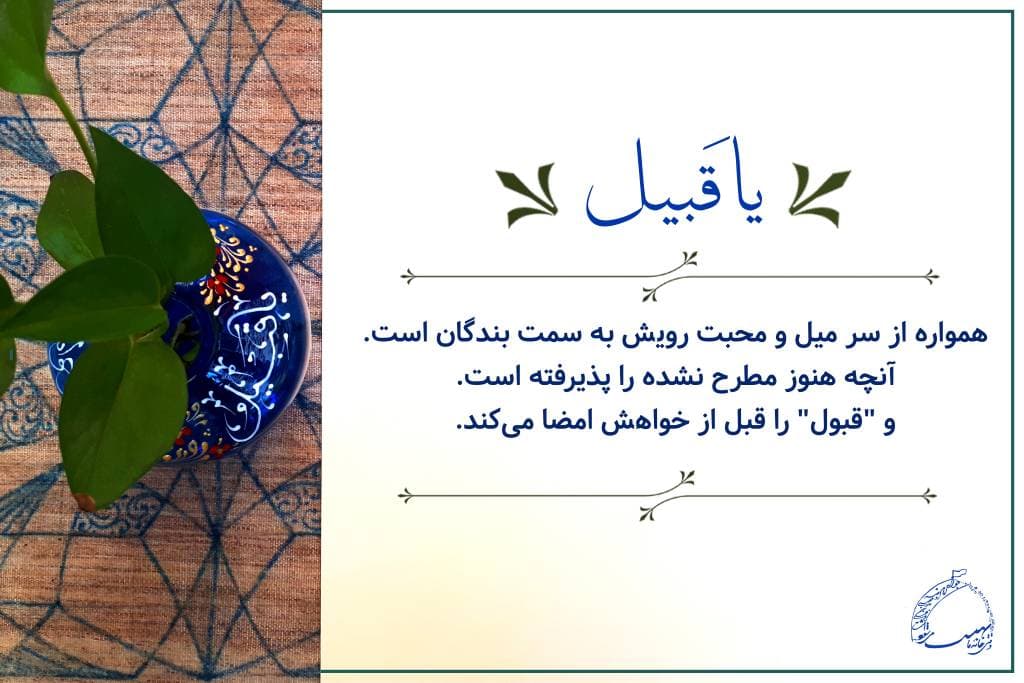 blog card 26