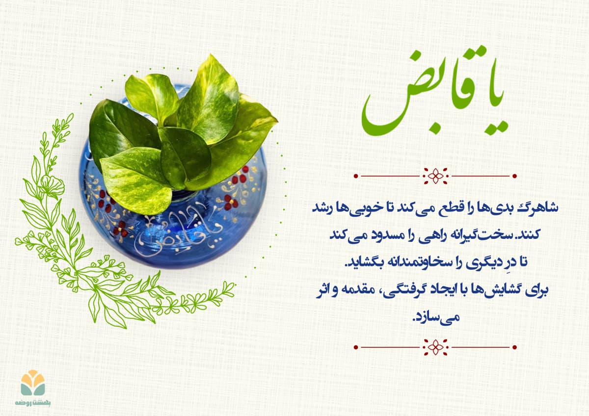 blog card 43