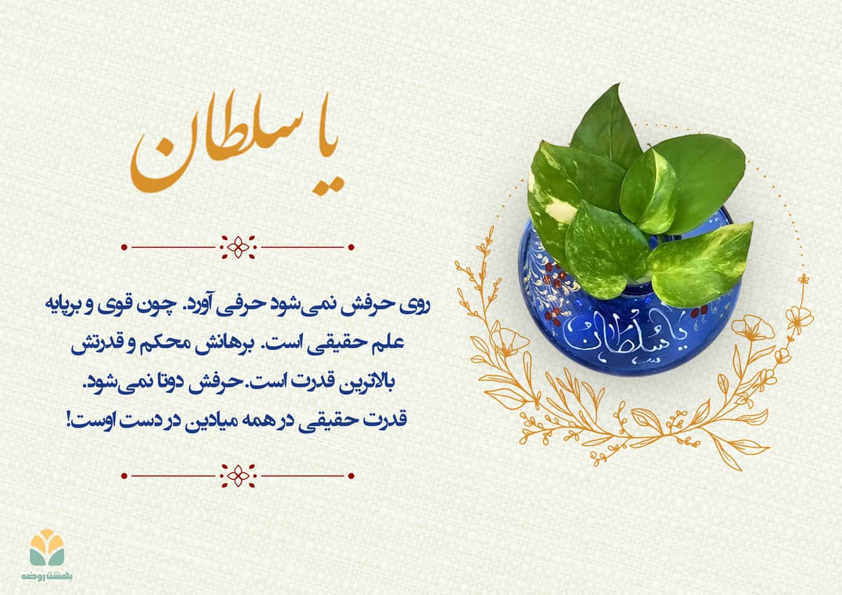 blog card 38